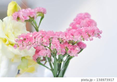 Statice or Limonium spp, Limonium spp vp or pink statice or Plumbaginaceae or Sea Lavender or pink flower 138973917