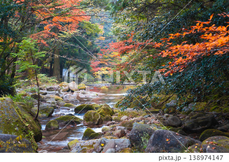 【日本の滝百選】晩秋の寂地峡五龍の滝 滝の下流域の風景2 山口県岩国市 【日本の滝百選】晩秋の寂地峡五龍の滝 滝の下流域の風景2 山口県岩国市 138974147