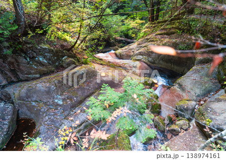 【日本の滝百選】晩秋の寂地峡五龍の滝　渓流と遊歩道3　山口県岩国市 138974161