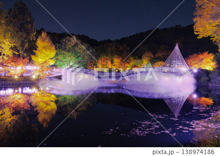 ライトアップされた秋の薬師池公園 138974186