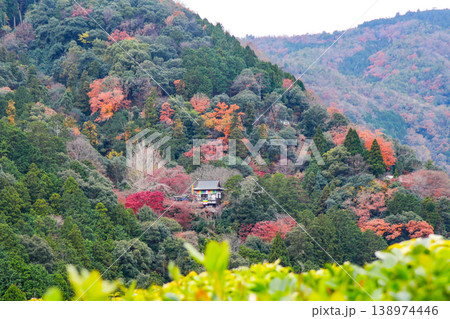 京都嵯峨　大河内山荘より大悲閣（千光寺）を望む 138974446