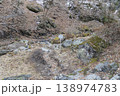 榛名神社　榛名山 138974783