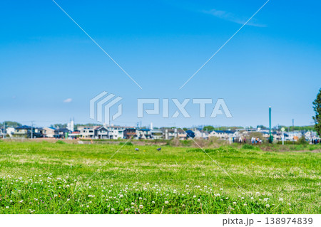 春の青空と緑の芝生広場と住宅街 春の青空と緑の芝生広場と住宅街 138974839