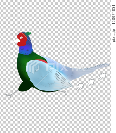 A simple illustration of a pheasant running. 138974851