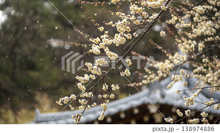 Gangneung Ojukheon 138974886