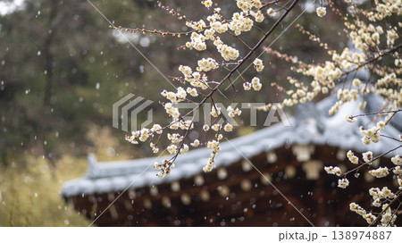 Gangneung Ojukheon 138974887