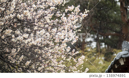 Gangneung Ojukheon Gangneung Ojukheon 138974891