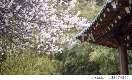 Gangneung Ojukheon Gangneung Ojukheon 138974893