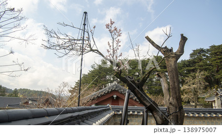 Gangneung Ojukheon Gangneung Ojukheon 138975007