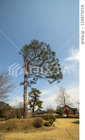 Gangneung Ojukheon 138975016