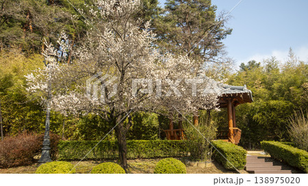 Gangneung Ojukheon Gangneung Ojukheon 138975020