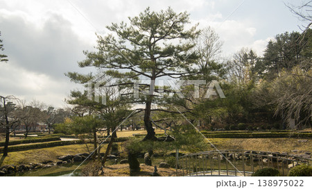 Gangneung Ojukheon 138975022