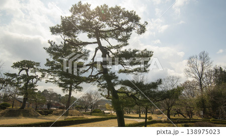 Gangneung Ojukheon 138975023
