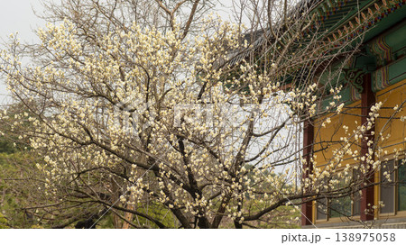 Gangneung Ojukheon Gangneung Ojukheon 138975058