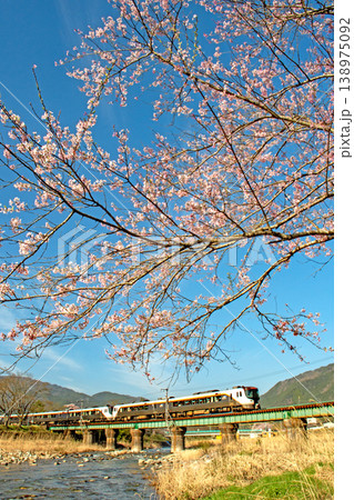 青空の下、桜咲く飛騨路を駆け抜ける新型特急ひだ 138975092