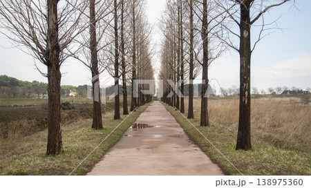 Gangneung Gyeongpo Lake 138975360