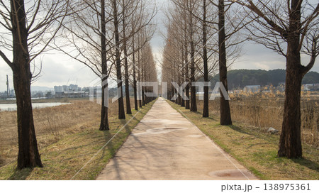 Gangneung Gyeongpo Lake 138975361