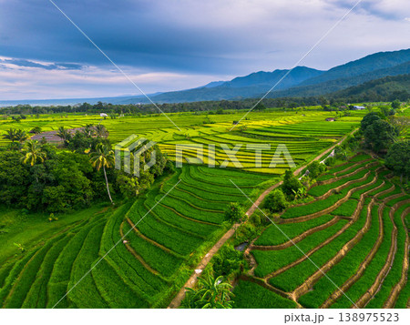 Beautiful morning view in Indonesia, panoramic landscape of rice fields with mountain ranges and clear sky Beautiful morning view in Indonesia, panoramic landscape of rice fields with mountain ranges and clear sky 138975523