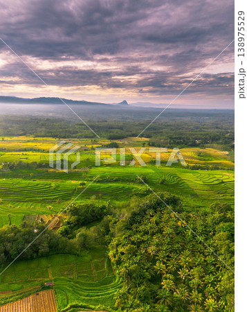 Beautiful morning view in Indonesia, panoramic landscape of rice fields with mountain ranges and clear sky Beautiful morning view in Indonesia, panoramic landscape of rice fields with mountain ranges and clear sky 138975529