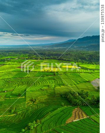 Beautiful morning view in Indonesia, panoramic landscape of rice fields with mountain ranges and clear sky Beautiful morning view in Indonesia, panoramic landscape of rice fields with mountain ranges and clear sky 138975538