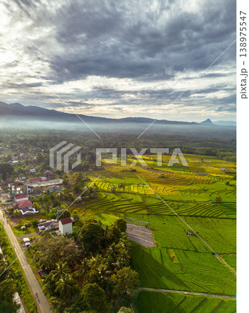 Beautiful morning view in Indonesia, panoramic landscape of rice fields with mountain ranges and clear sky 138975547