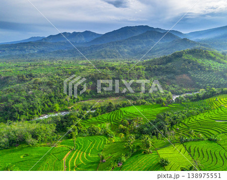 Beautiful morning view in Indonesia, panoramic landscape of rice fields with mountain ranges and clear sky 138975551