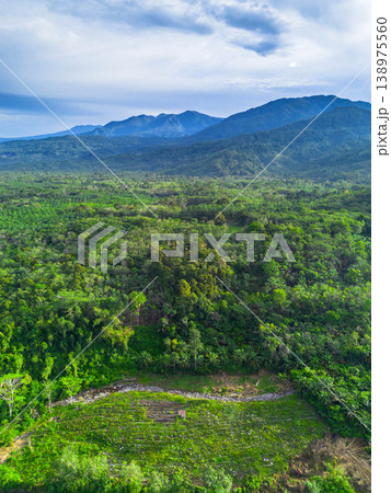 Beautiful morning view in Indonesia, panoramic landscape of rice fields with mountain ranges and clear sky Beautiful morning view in Indonesia, panoramic landscape of rice fields with mountain ranges and clear sky 138975560