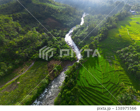 Beautiful morning view in Indonesia, panoramic landscape of rice fields with mountain ranges and clear sky 138975566