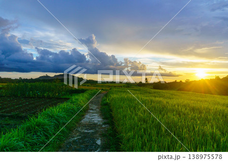 Beautiful morning view in Indonesia, panoramic landscape of rice fields with mountain ranges and clear sky Beautiful morning view in Indonesia, panoramic landscape of rice fields with mountain ranges and clear sky 138975578