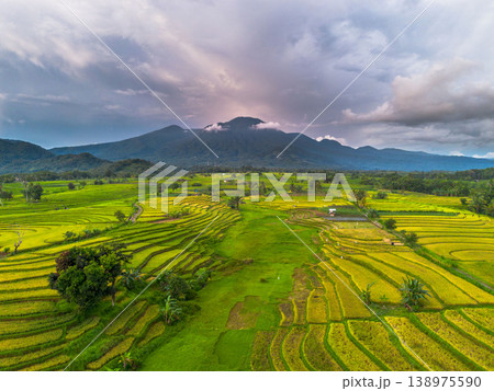 Beautiful morning view in Indonesia, panoramic landscape of rice fields with mountain ranges and clear sky Beautiful morning view in Indonesia, panoramic landscape of rice fields with mountain ranges and clear sky 138975590