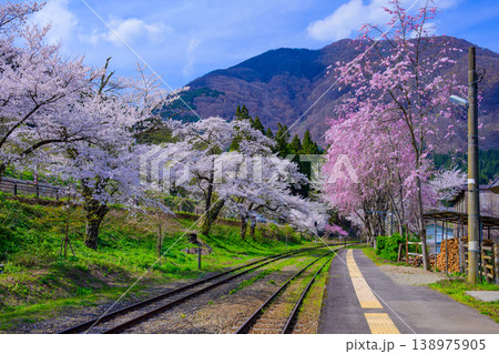 春を駆けるS字カーブ 桜並木と山並みに抱かれた会津鉄道の風景 春を駆けるS字カーブ 桜並木と山並みに抱かれた会津鉄道の風景 138975905