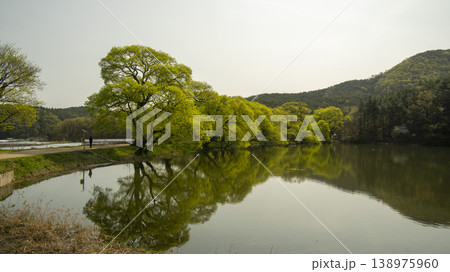 Gyeongsan Bangokji 138975960