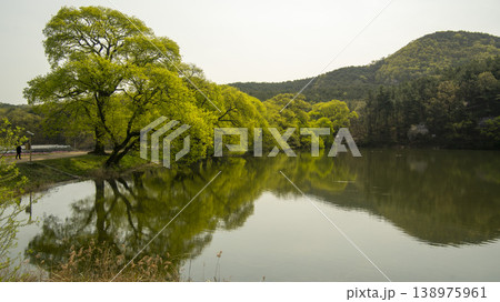 Gyeongsan Bangokji 138975961