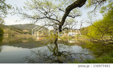 Gyeongsan Bangokji 138975981