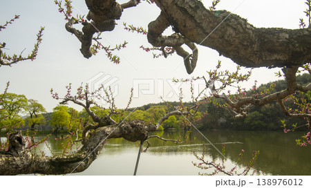 Gyeongsan Bangokji 138976012