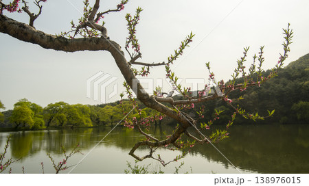 Gyeongsan Bangokji 138976015