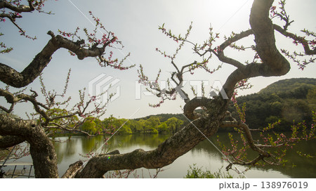 Gyeongsan Bangokji 138976019