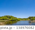 青空に映える新緑の公園風景【千葉県松戸市　21世紀の森と広場】 138976082