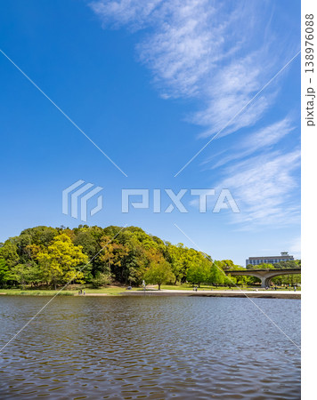 青空に映える新緑の公園風景【千葉県松戸市　21世紀の森と広場】 138976088