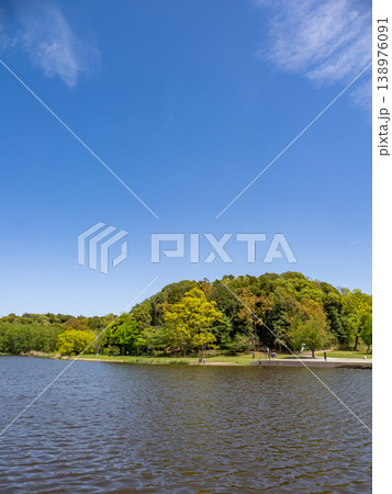 青空に映える新緑の公園風景【千葉県松戸市　21世紀の森と広場】 138976091
