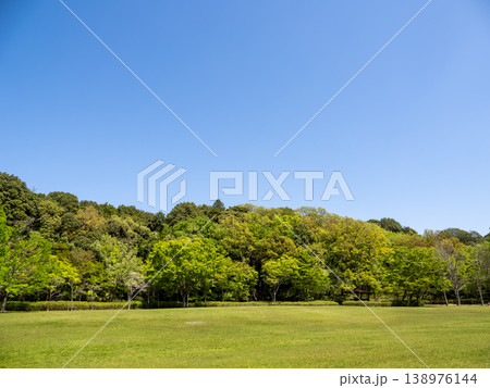 青空に映える新緑の公園風景【千葉県松戸市 21世紀の森と広場】 青空に映える新緑の公園風景【千葉県松戸市 21世紀の森と広場】 138976144