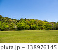 青空に映える新緑の公園風景【千葉県松戸市　21世紀の森と広場】 138976145