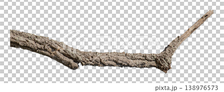 Dry branches isolated on a transparent background. Dry branches isolated on a transparent background. 138976573