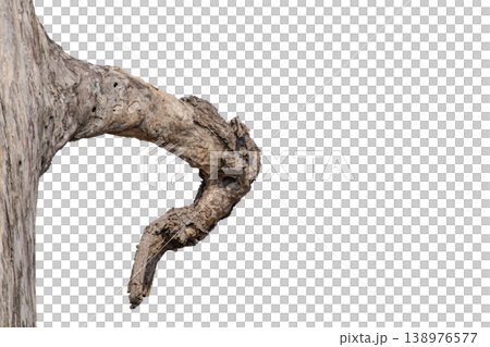 Dry branches isolated on a transparent background. Dry branches isolated on a transparent background. 138976577