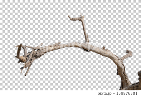 Dry branches isolated on a transparent background. 138976581
