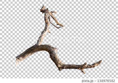 Dry branches isolated on a transparent background. Dry branches isolated on a transparent background. 138976582