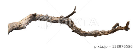 Dry branches isolated on a transparent background. 138976586