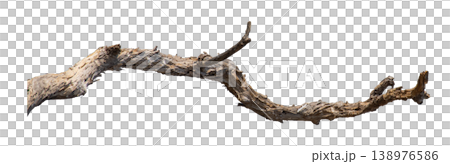Dry branches isolated on a transparent background. Dry branches isolated on a transparent background. 138976586