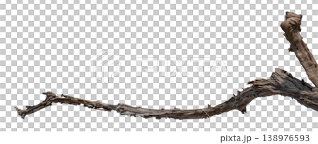 Dry branches isolated on a transparent background. Dry branches isolated on a transparent background. 138976593