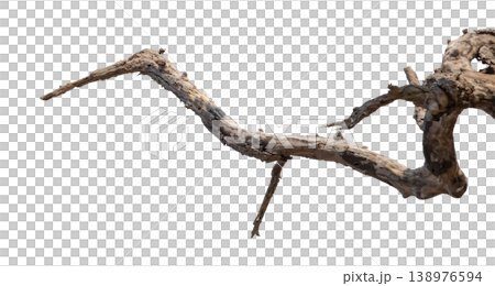 Dry branches isolated on a transparent background. Dry branches isolated on a transparent background. 138976594